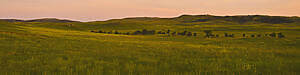 A Scenic Drive Through Badlands National Park In South Dakota